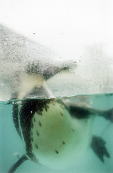 copyright_JitkaHanzlova_VGBildkunst_Bew09