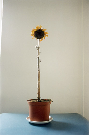 copyright_JitkaHanzlova_VGBildkunst_Bew10