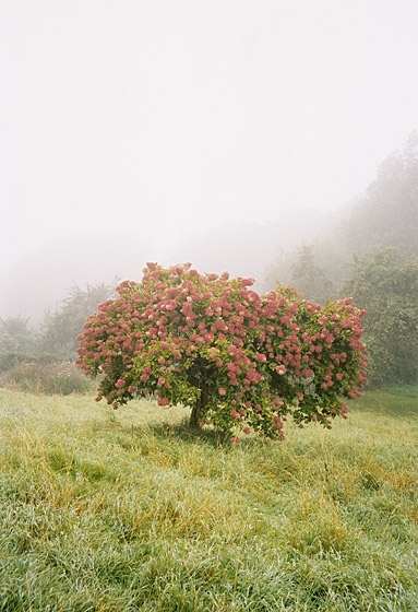 copyright_JitkaHanzlova_VGBildkunst_Hie05