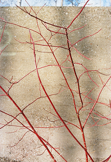 copyright_JitkaHanzlova_VGBildkunst_Hie11