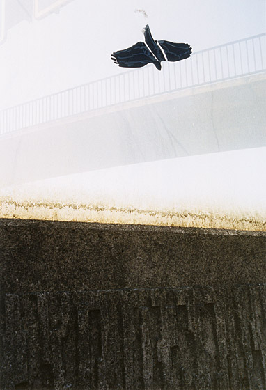 copyright_JitkaHanzlova_VGBildkunst_Hie13