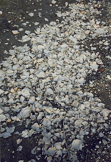 copyright_JitkaHanzlova_VGBildkunst_Hie16